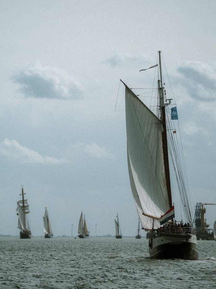 A group of historic sailing ships with tall masts navigate the open sea under a clouded sky.
