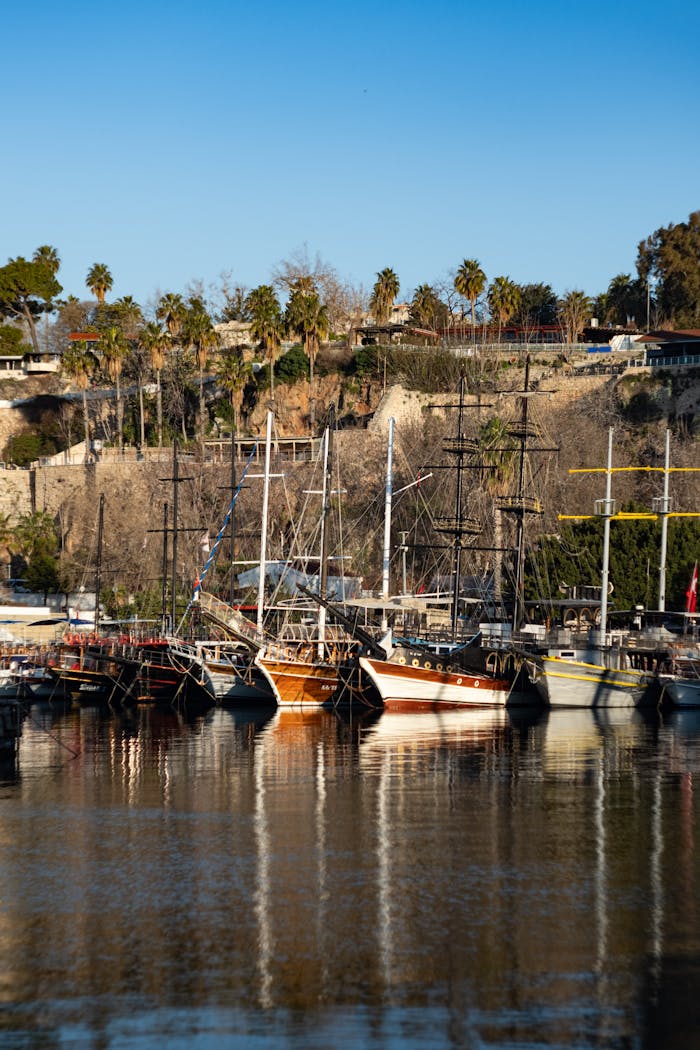 A picturesque harbor with moored tall ships and palm trees on a sunny day.